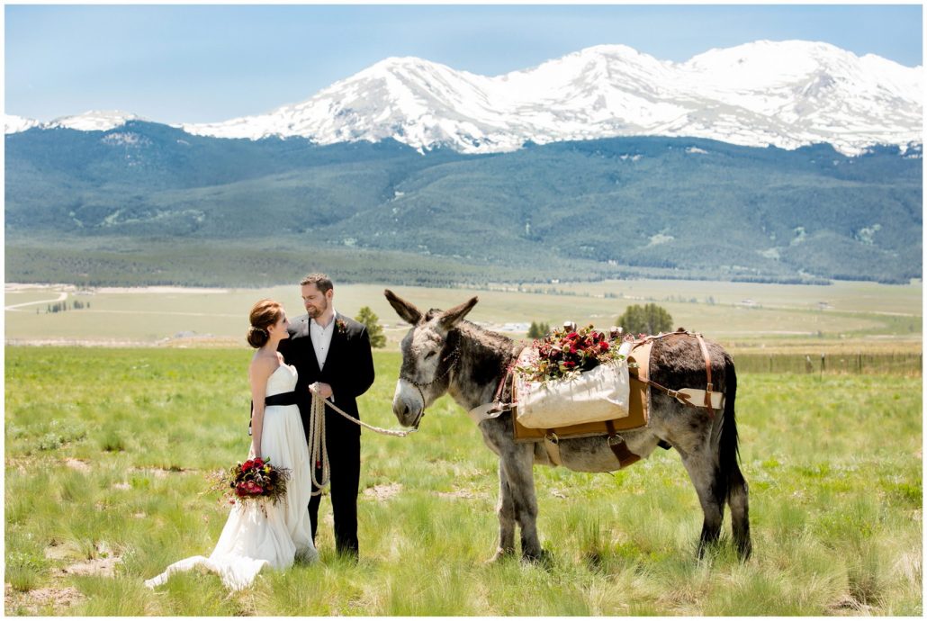 Fotografii artistice de nunta facute la munte